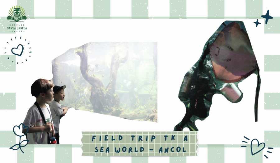 Field Trip TK A ke Sea World Ancol