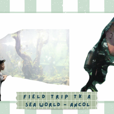 Field Trip TK A ke Sea World Ancol